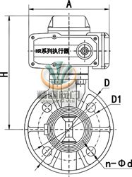 SD971电动塑料蝶阀 (外形尺寸图) 