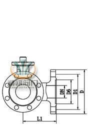 PN4.0-6.3MPa法兰形式