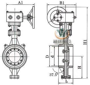 D363H硬密封焊接蝶阀 (结构图) 