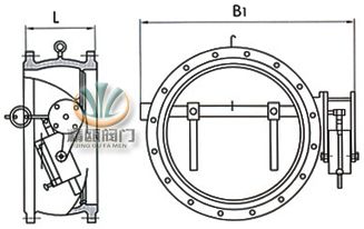 蝶式缓冲止回阀 (尺寸图) 