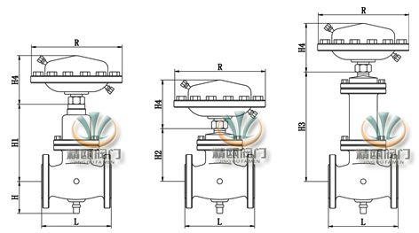 自力式流量调节阀 外形图